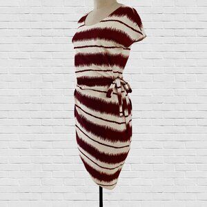 NWOT Willowmore Asymmetrical Burgundy and White Striped Dress